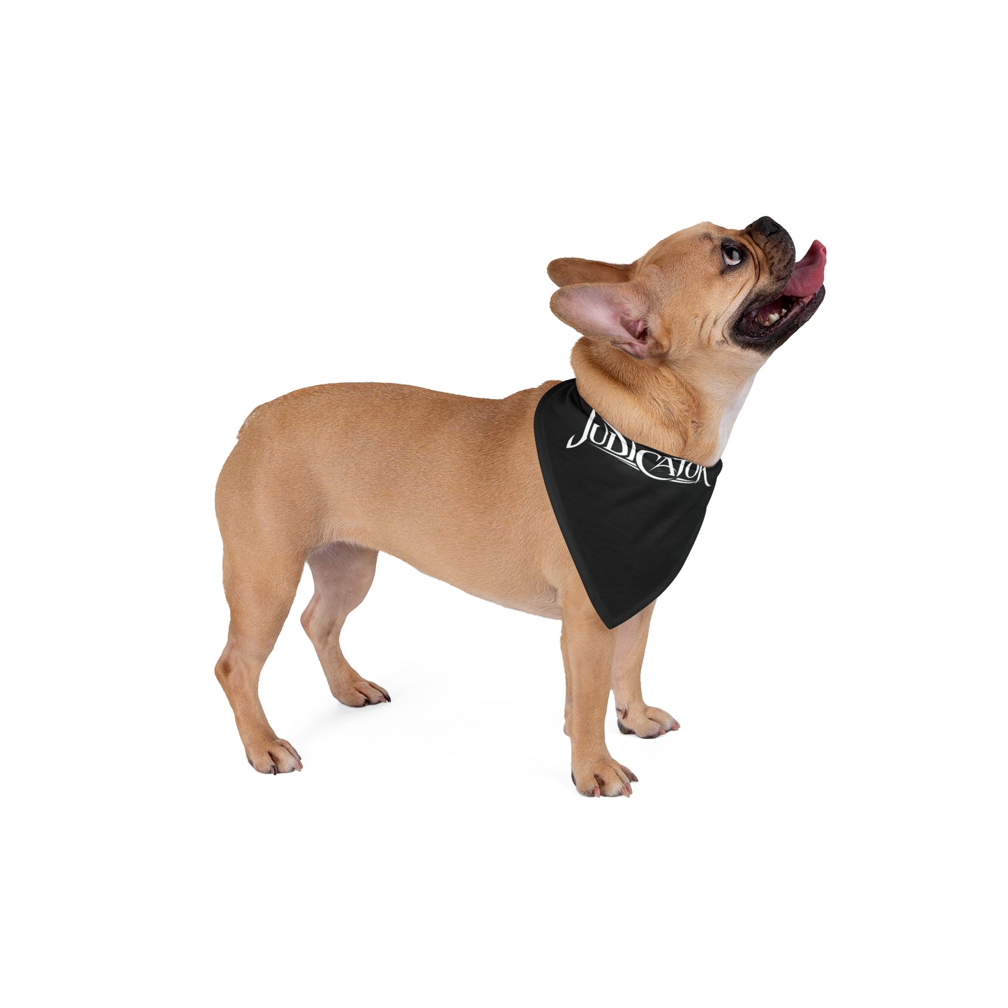 Pet Bandana